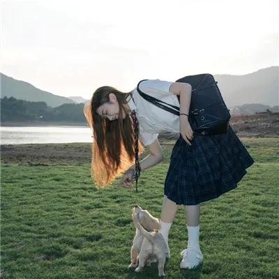 佛兰德斯的狗